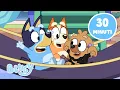 Download Lagu Divertirsi con i compagni di scuola 💙 📖 | Bluey Italiano Canale Ufficiale