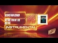 Sebastian Schub - before you hit the water (Instrumental)