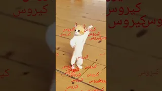 اسم كيروس اغنية بأسم كيروس اغنيه باسم كيروس روح قلبى 