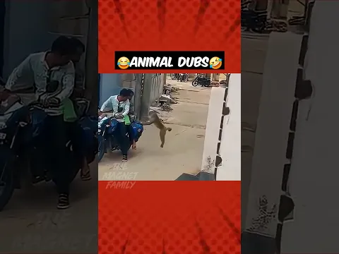 Ac-ய போடுங்க பேசிட்டே போவோம்‼️🤣😂 #magnetbytes #funnydubbing #monkey #funny #funnyanimals #bus
