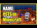 How to name your PETS in Minecraft Dogs Horse Pigs Cat