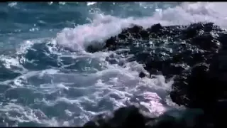 اكتر حاجه بحبها فيكي هي دي حماده وحيد دندنها