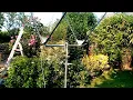 11M 2-ELEMENT DELTA LOOP ANTENNA FINISHED