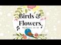 Download Lagu Lyric Video: Flowers and Birds / John Althoff