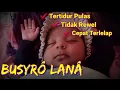 Lagu LANGSUNG TERTIDUR !! Sholawat Pengantar Tidur Bayi yang Rewel, Susah Tidur Agar Bunda Tidak Insomnia