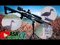 Download Lagu SOLO HUNTING BELIBIS‼️ SENSASI HEADSHOT BIKIN KETAGIHAN‼️#hunting #berburu #belibis #berburubelibis 