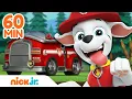 Download Lagu PAW Patrol Marshall's Red Hot Fire Rescues! 🚒 w/ Chase \u0026 Skye | 60 Minute Compilation | Nick Jr.