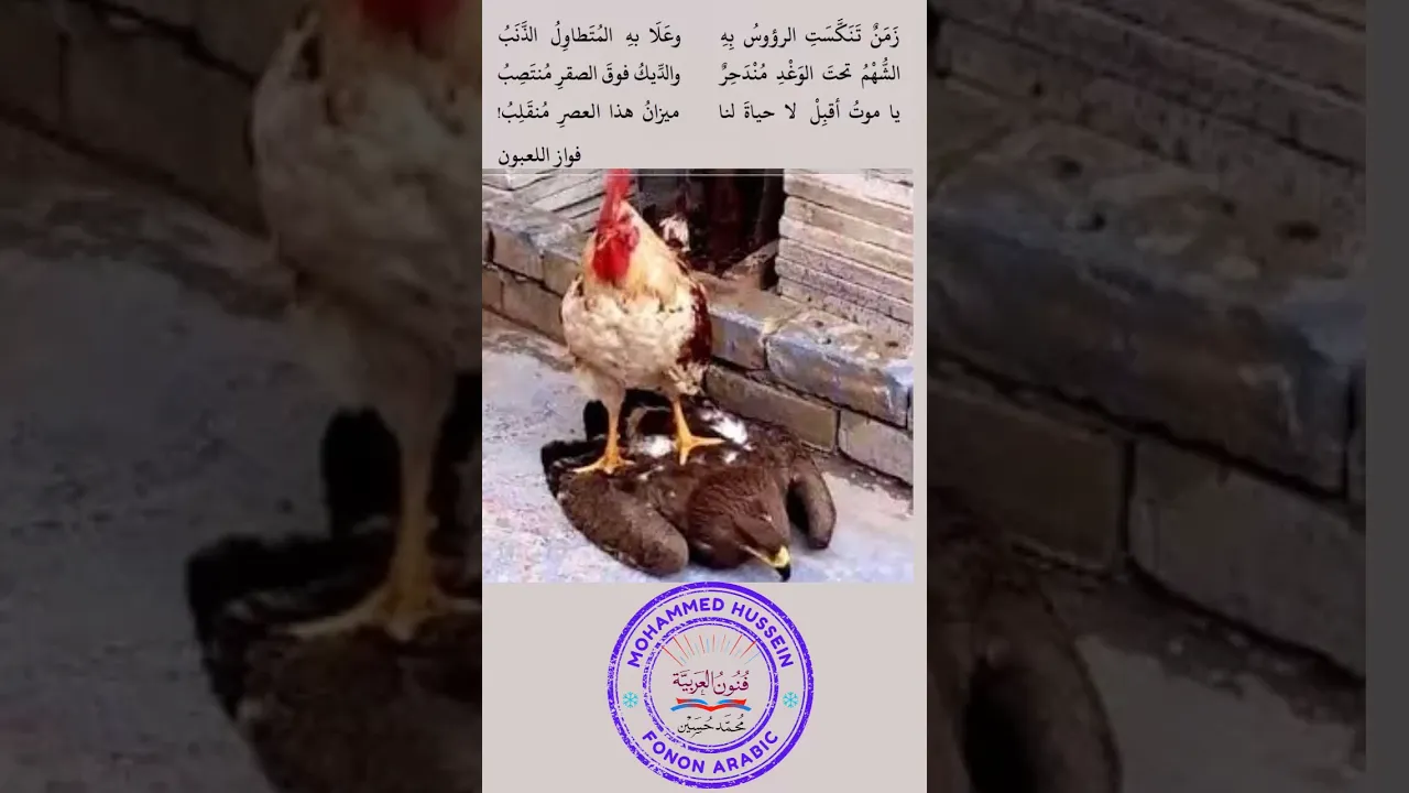 زمن تنكست الرؤوس به