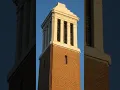 Alabama Crimson Tide volleyball Wikipedia article