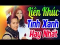 Download Lagu Liên Khúc Tình Xanh Sôi Động Lâm Thúy Vân, Don Hồ | Liên Khúc Tình Xanh Hải Ngoại Đặc Biệt Hay Nhất