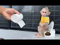 Download Lagu OMG! baby aapje Xuka is eraan gewend om haar eigen toilet te gebruiken!