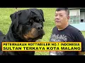 Grebek Peternakan Anjing, Sultan Terkaya Di Kota Malang - Rottweiler Von Den Bosch Kennel - VDB