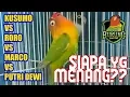 Download Lagu Lovebird Kusumo vs Roro vs Marco vs Putri Dewi Semua Ngekek Panjang, Siapa yg Juara?
