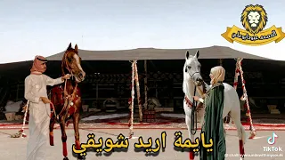 احلى رنات هاتف         اجمل نغمة رنين حب   افضل نغمات رنين للهاتف حب      نغمة دندنها
