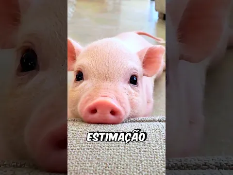 Ela Adotou Um PORQUINHO! #curiosidades #incrível