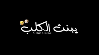 طلعتي خاينة يا بنت الكلب   دندنها