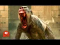 Download Lagu Gladiator II (2024) - Rabid Monkeys Attack Scene | Movieclips