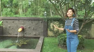 Erotic Garden and Teahouse Happy Sunday Vlog