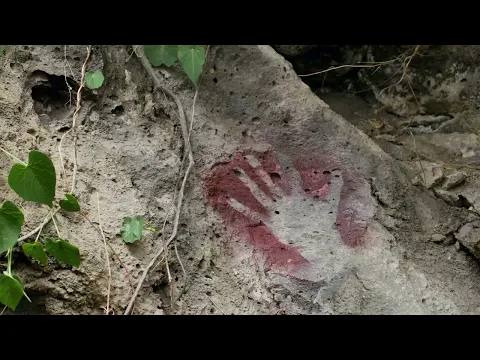 El fin de los males | Trailer