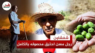 قصة فلاح مسن خسر بستان زيتونه في حريق غابة دردارة ضواحي شفشاون 