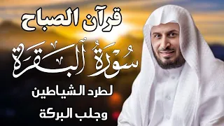 قرآن الصباح | سورة البقرة لجلب الرزق وحفظ المنزل بإذن الله | بصوت الشيخ سعد الغامدي