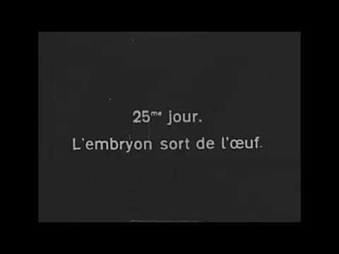 La grenouille (1911) The Frog (Pathé-Baby)