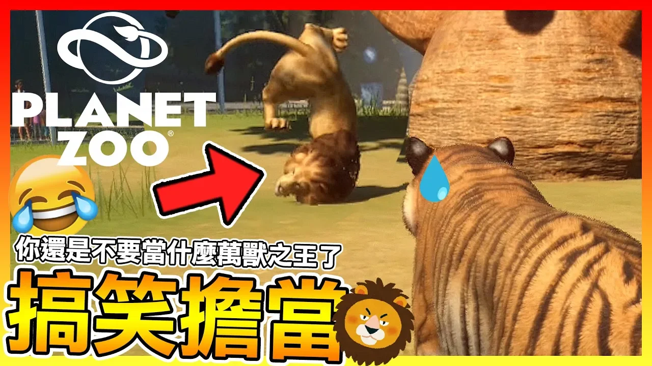 當獅子碰上老虎會變成樣子呢!?【動物園之星 Planet Zoo】我看你還是當搞笑之王好了😂#02