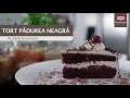 Download Lagu Tort pădurea neagră cu vișine din compot