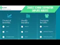 Charles Schwab Corporation Employee Benefits Benefit Overview Summary
