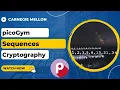 picoGym picoCTF Exercise Sequences