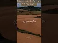 Download Lagu Surat Al Zariyat | Reciter Sheikh Ali Jaber