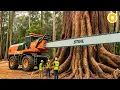 Download Lagu Extreme Dangerous Fastest Big Chainsaw Cutting Tree Machines | Monster Stump Removal Excavator
