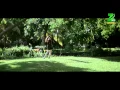 Download Lagu Poove Unnai Nesithen song FULL HD