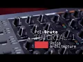 Tutorials PolyBrute - Episode 1 Voice Architecture