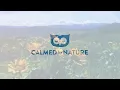 Relaxing Meadow with Ambient Nature Sounds, Wildflowers, and Mountain View - 8 Hours