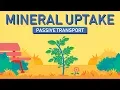 Plant Nutrition Mineral Absorption Part 1