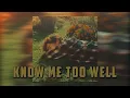 Download Lagu Know Me Too Well - New Hope Club, Danna Paola (Lyrics \u0026 Vietsub)
