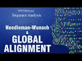 Global Sequence Alignment Needleman-Wunsch Algorithm and Example