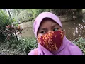 Download Lagu Sore Hari di Kebun Raya Bogor