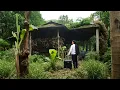 Download Lagu CEO Leave City for the Forest to build new life after bankrupt. Restore abandoned house