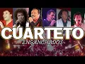 Download Lagu Cuarteto Enganchado de los 90 Sebastian el monstruo Miguel conejito Alejandro Gary El Negro Videla