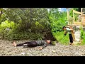 Download Lagu While Phuong Vy was moving the pig feeder home, her father was on his way home and very tired.