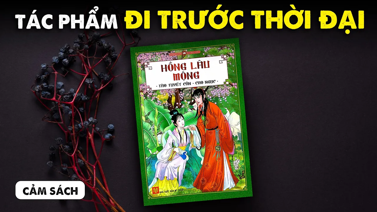 Outline Video HỒNG LÂU MỘNG - Tuyệt tác ẩn sau "SỰ NHẠY CẢM" | Thiên. | Spiderum Books