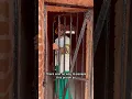 Download Lagu Kaala Paani - India’s most isolated prison, cellular jail #cellularjail #andaman #portblair #prison