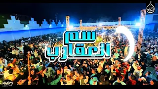 السلام ده عامل ثوره في ديجيهات مصر  سم العقارب        السيد حسن    اوشا مصر  دندنها