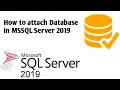 How to Attach Database in Sql Server 2019 on Windows