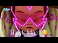 Hawk Moo?