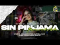 Download Lagu DJ KARNAVAL VIRAL !! SIN PINJAMA - BASS ULEM BIKIN PARGOY || LOPES REVOLUTION