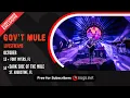 Download Lagu Gov't Mule: \