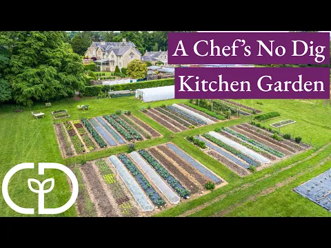 Download MP3 Hotel chef creates amazing garden